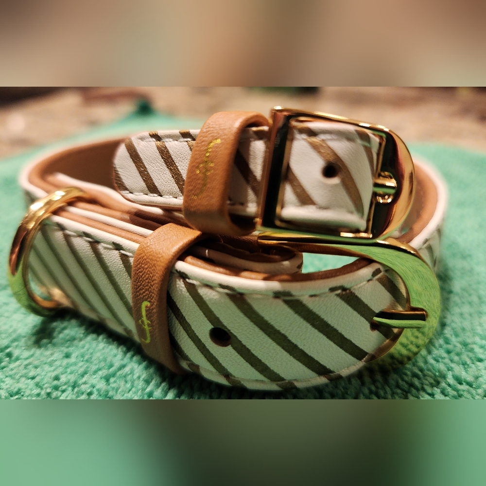 A SPECIAL FRIENDSHIP DOG COLLAR (11 to 14 inch) & Friendship Bracelet - Picture 2 of 12